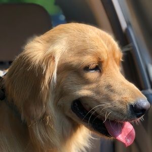 Meet your Posher, Fran